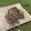 downing-farm-retirement-auction-image