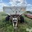 simonsen-n-image-2