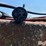 wil-rich-quad-5-image-11