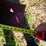case-ih-8230-image-10