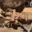 ford-8n-image-8