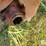 international-440-image-8