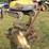 john-deere-2-image-1