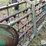 john-deere-640-image-17