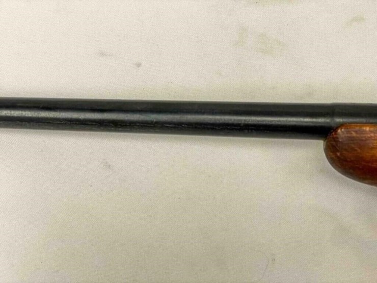 imc-romanian-.22-rifle-image-3