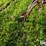 new-holland-56b-image-9