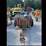 #43-•-gorman-rupp-self-priming-centrifugal-pump-image-4