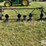 john-deere-643-image-2