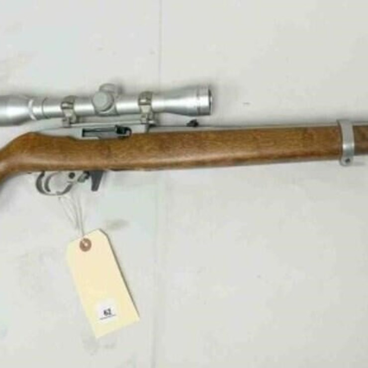 Ruger 22 rifle