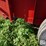 new-holland-155-image-18