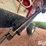 ez-trail-3400-image-12