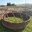 round-bale-feeder-image-3