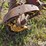 new-holland-450-image-15