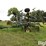 quinstar-fm5-35-image-8