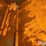 simonsen-n-image-18