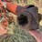 hesston-3600-image-10