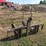 3pt-2-prong-bale-mover-image-5
