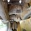 2016-caterpillar-d6k2-xl-image-18