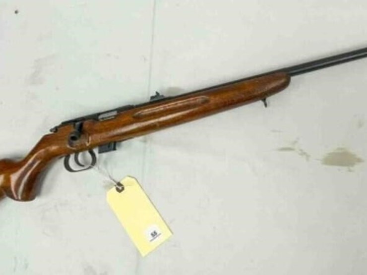 imc-romanian-.22-rifle-image-1