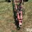 wil-rich-quad-5-image-9