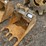 caterpillar-24-image-1