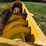 new-holland-939a4-image-9