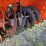husqvarna-st327p-snow-blower-image-6