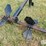 john-deere-643-image-11