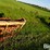 new-holland-56b-image-16
