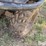 2006-polaris-ranger-image-14