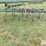john-deere-100-image-6