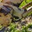 new-holland-56b-image-20