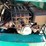 #9458-•-2025-unused-cfg-mini-excavator-image-4