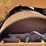 case-w752-image-17