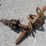 #70-•-lot-70-image-1