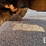 2006-caterpillar-420d-it-image-32
