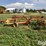 new-holland-258-image-7