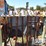 3-ton-&-(3)-10-1/2-ton-hand-chain-hoists-image-1