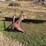 7'-3pt-blade-image-2