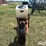 elston-ga700-image-6