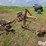 massey-harris-pony-image-7