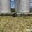 artsway-240a-image-2