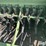 john-deere-9350-image-19