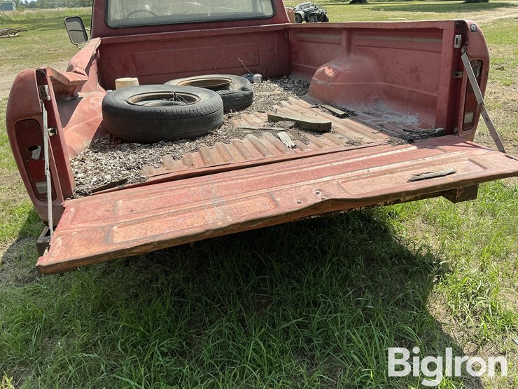 1973-ford-f100-image-18