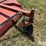 hesston-3600-image-12