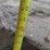 john-deere-15-image-15