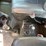 2012-kenworth-w900-image-31