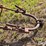 new-holland-450-image-10