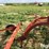new-holland-258-image-10