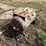 air-tank-image-2